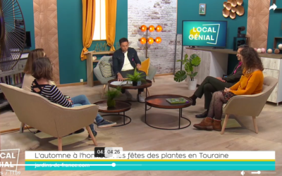Emission Local Génial de TV Tours du 6 octobre 2025