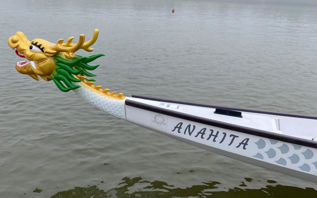 Flocage du DB20 Anahita réalisé !